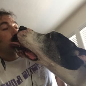 Meet your Posher, Christopher